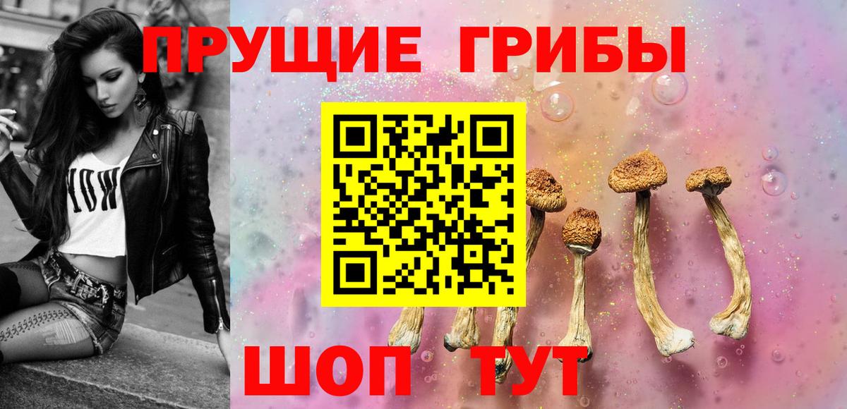 Псилоцибиновые грибы Cubensis Туймазы