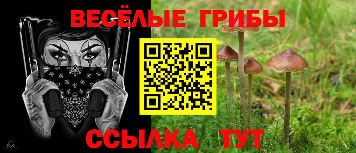 Туймазы  Псилоцибиновые грибы Psilocybe  Вход с VPN 